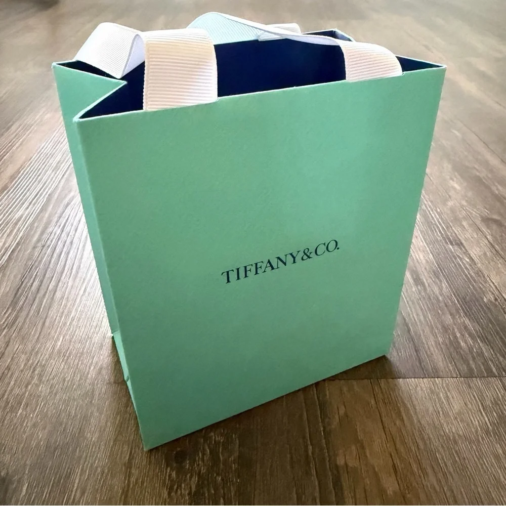 TIFFANY & CO Turquoise Blue Mini Paper Gift Bags Tote Reusable V Day Birthday